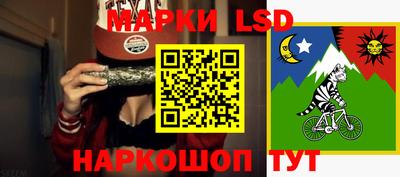 дживик Моздок