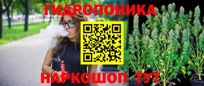 тгк Можга