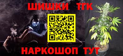тгк Можга