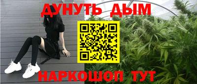 дживик Моздок