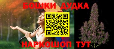 дживик Моздок