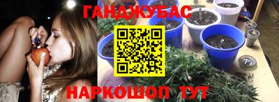 дживик Моздок