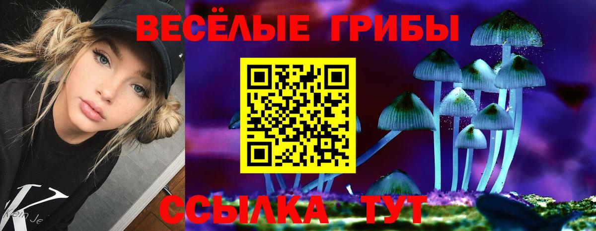Галлюциногенные грибы MAGIC MUSHROOMS  Псилоцибиновые грибы Magic Shrooms  Борисоглебск  Вход с VPN 